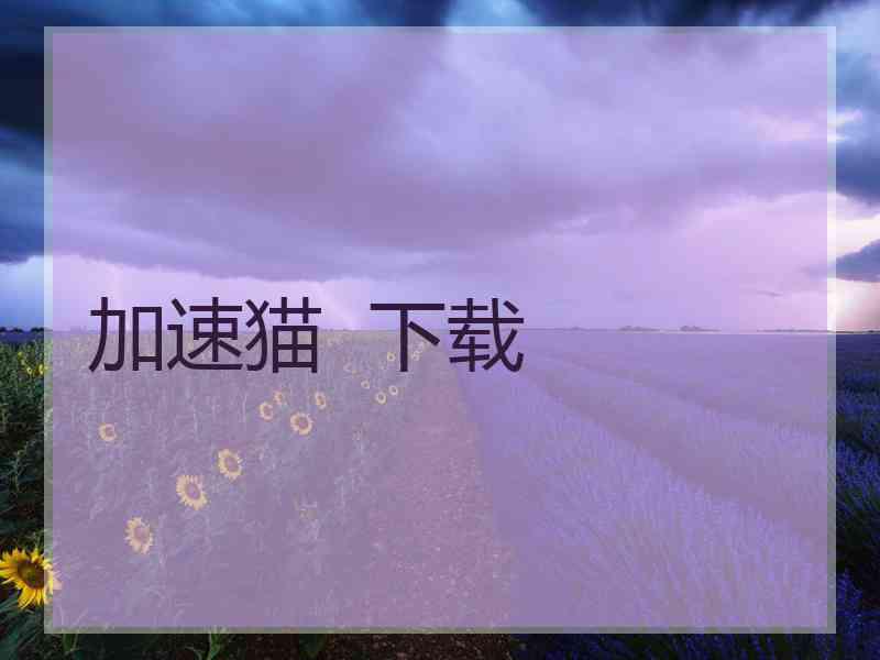 加速猫  下载
