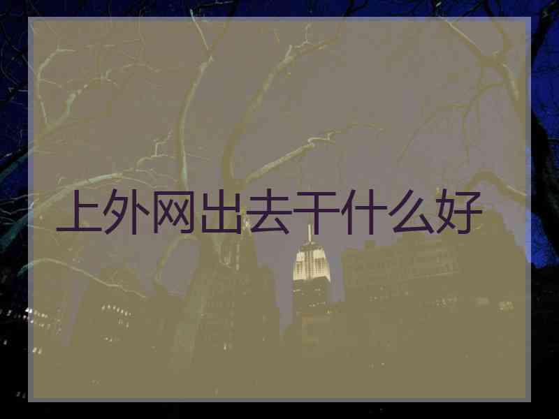 上外网出去干什么好