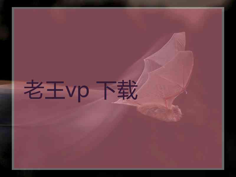 老王vp 下载