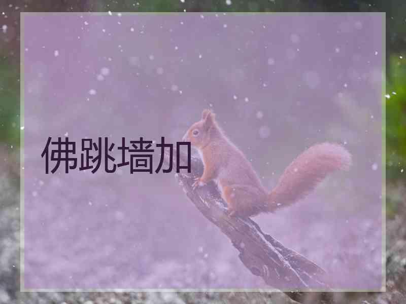 佛跳墙加
