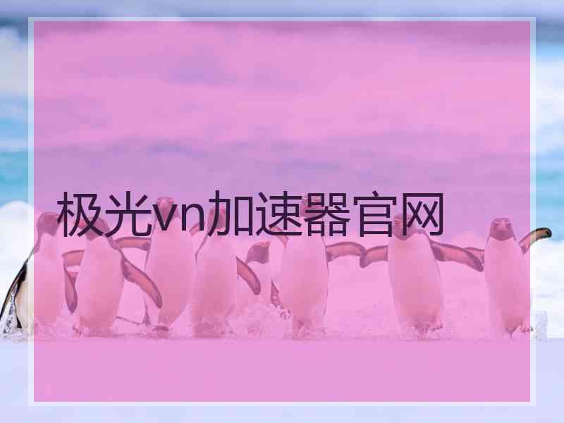 极光vn加速器官网