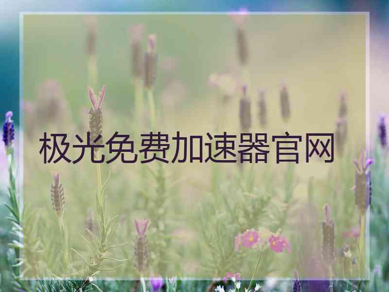 极光免费加速器官网