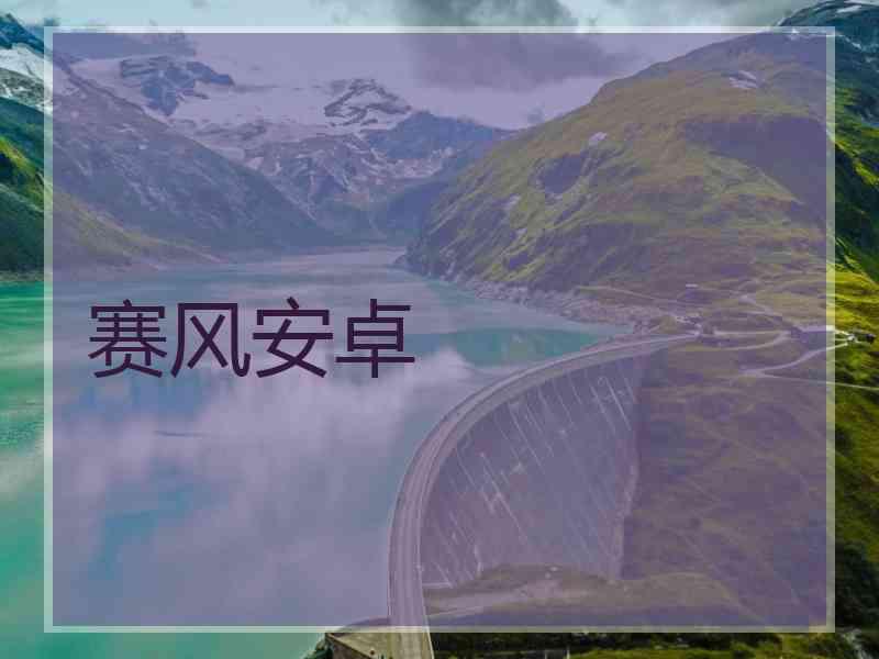 赛风安卓
