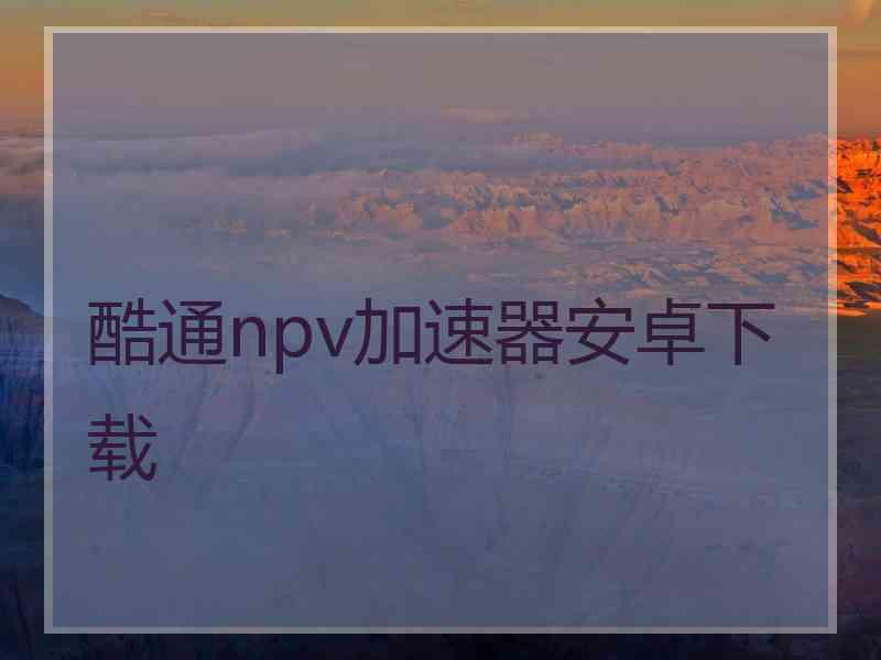 酷通npv加速器安卓下载