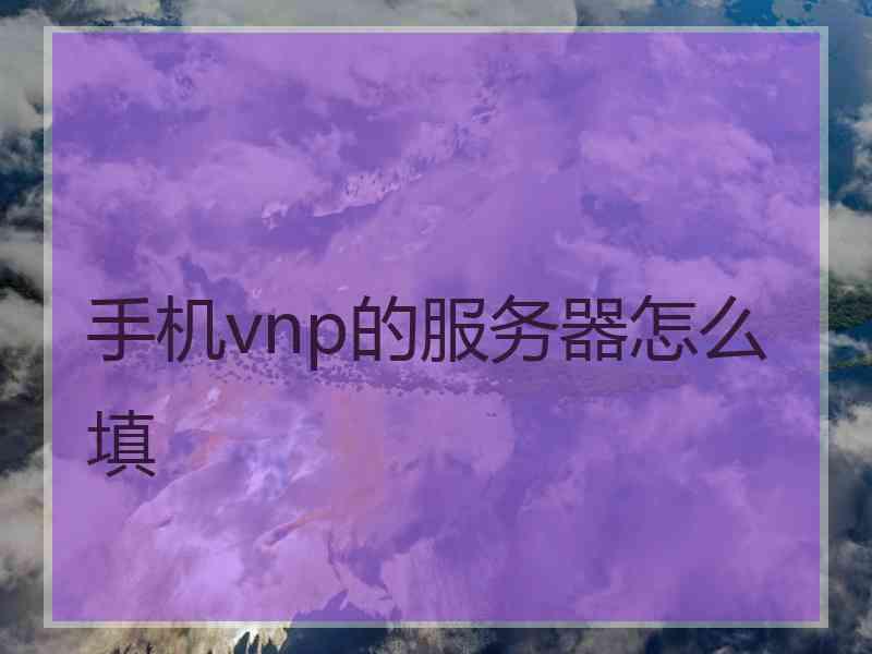 手机vnp的服务器怎么填