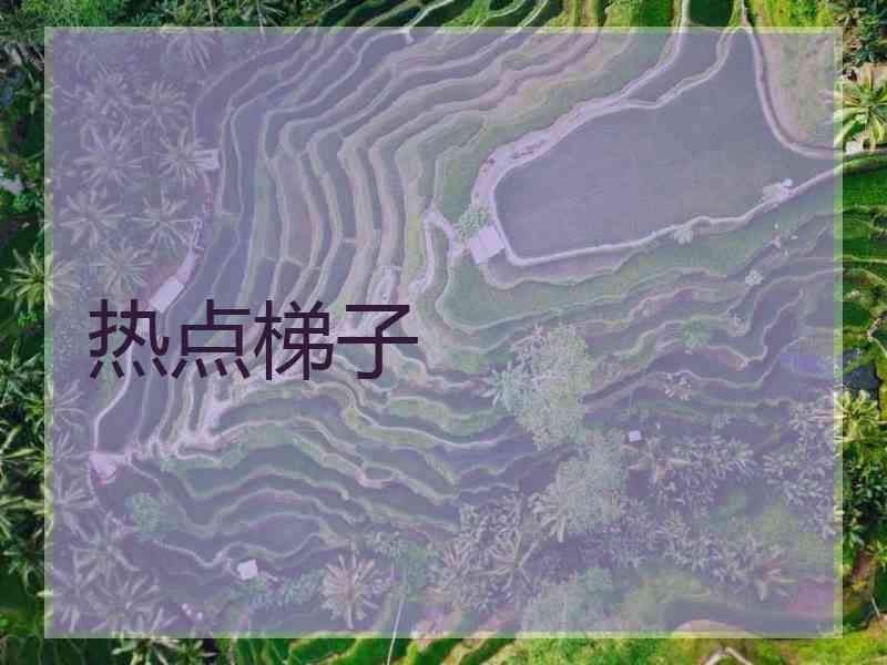 热点梯子