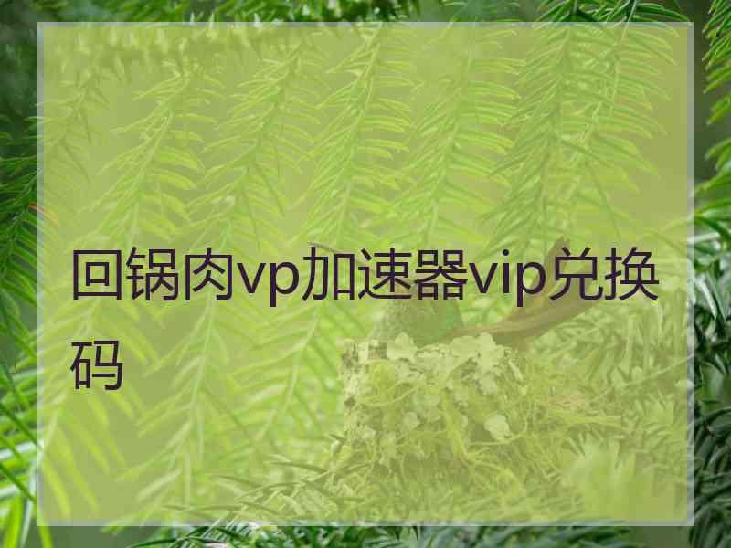 回锅肉vp加速器vip兑换码