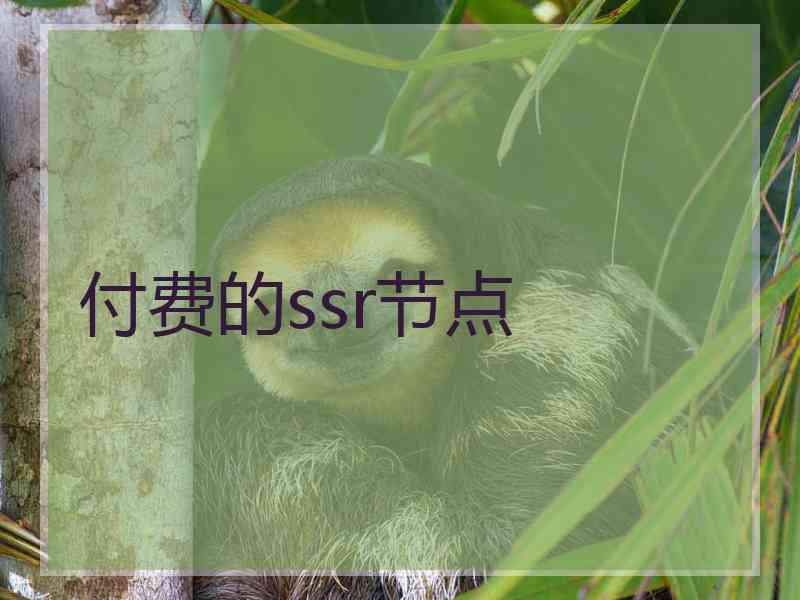 付费的ssr节点