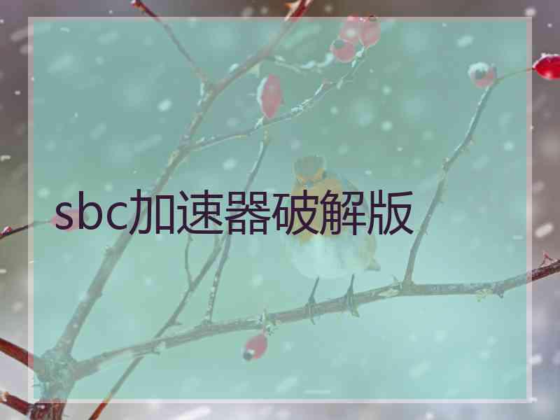 sbc加速器破解版