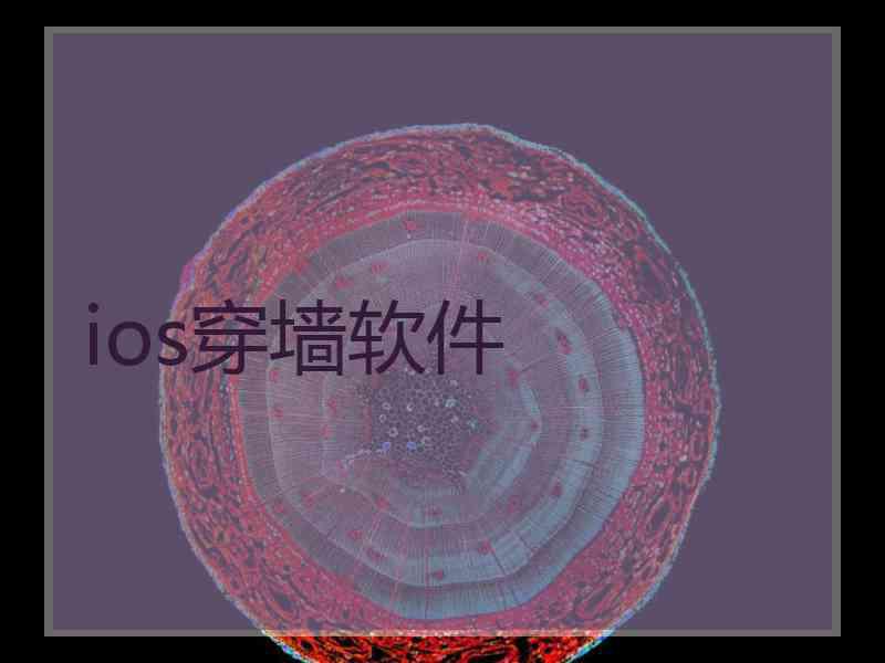 ios穿墙软件