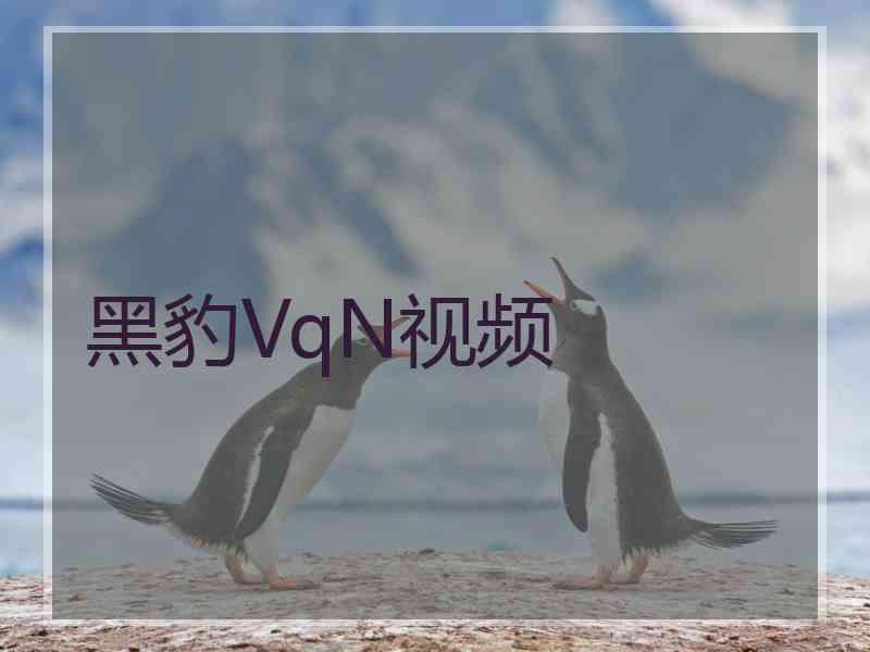 黑豹VqN视频