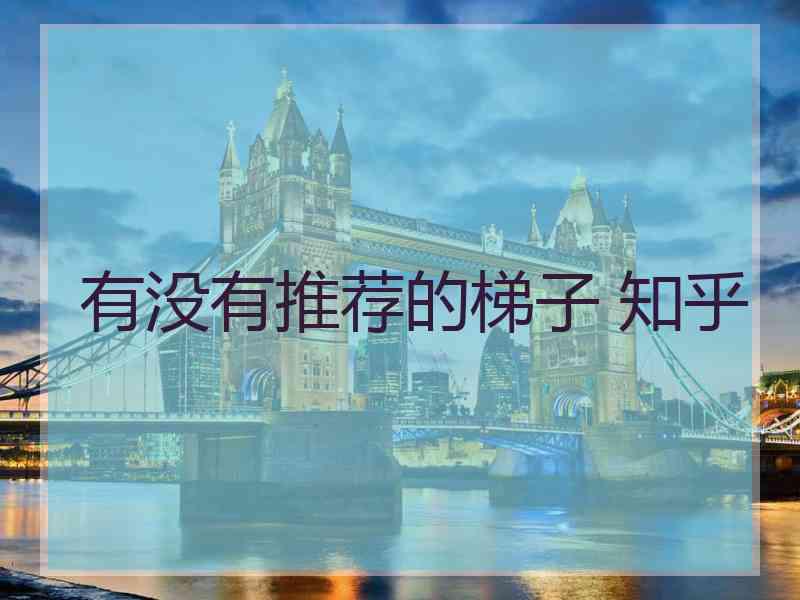 有没有推荐的梯子 知乎
