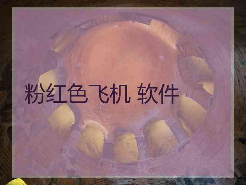 粉红色飞机 软件