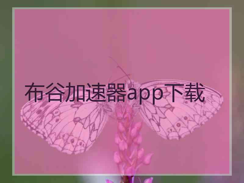 布谷加速器app下载