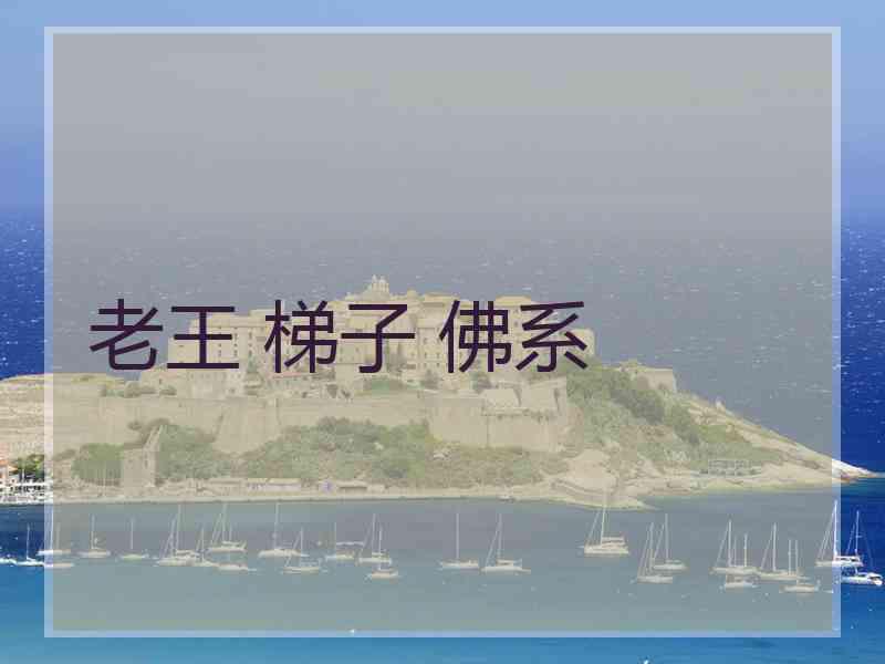 老王 梯子 佛系