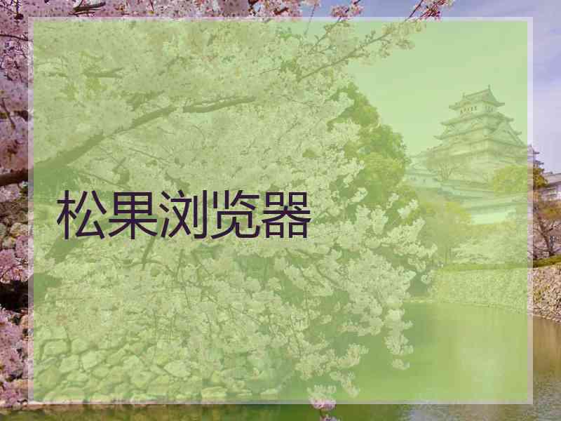 松果浏览器