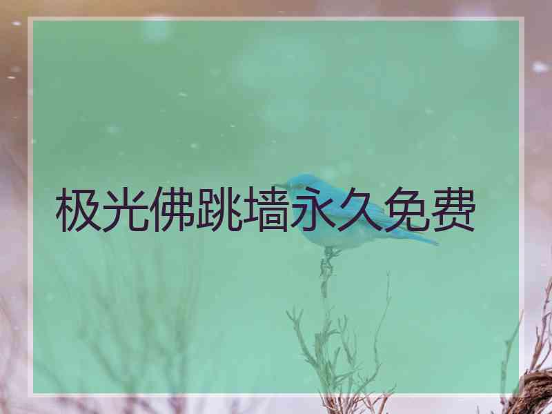 极光佛跳墙永久免费