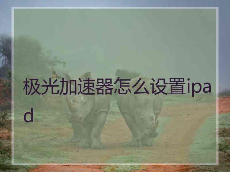极光加速器怎么设置ipad