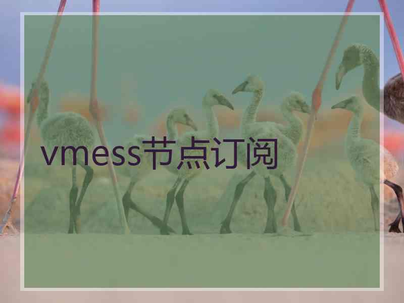 vmess节点订阅