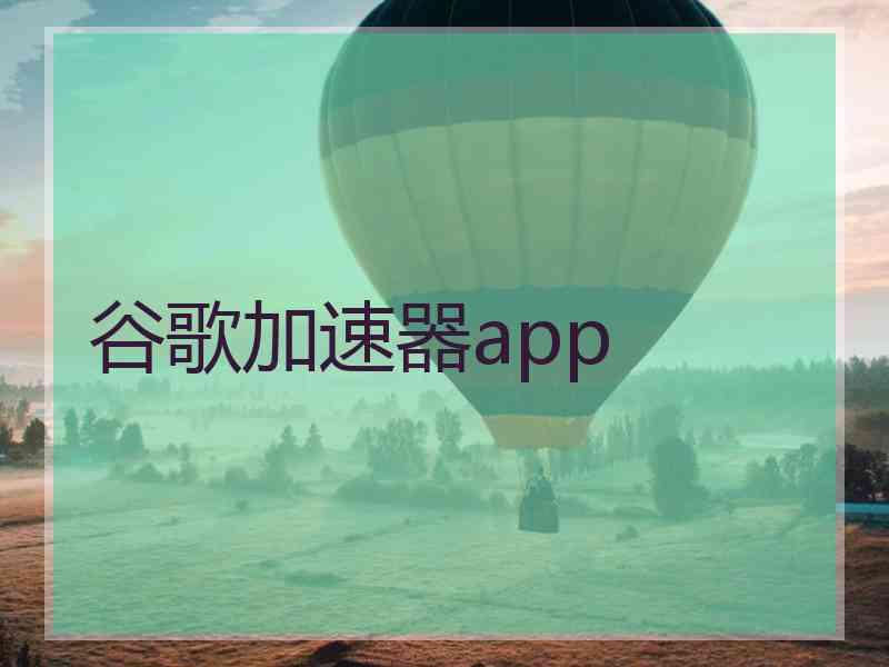 谷歌加速器app