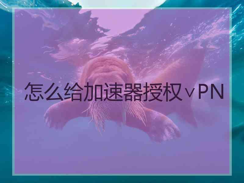 怎么给加速器授权∨PN