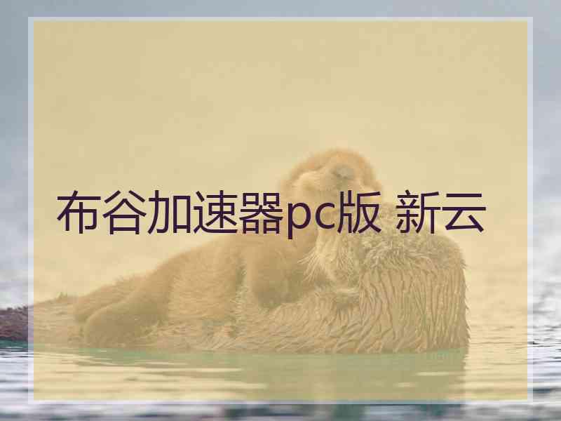 布谷加速器pc版 新云
