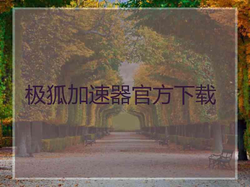 极狐加速器官方下载