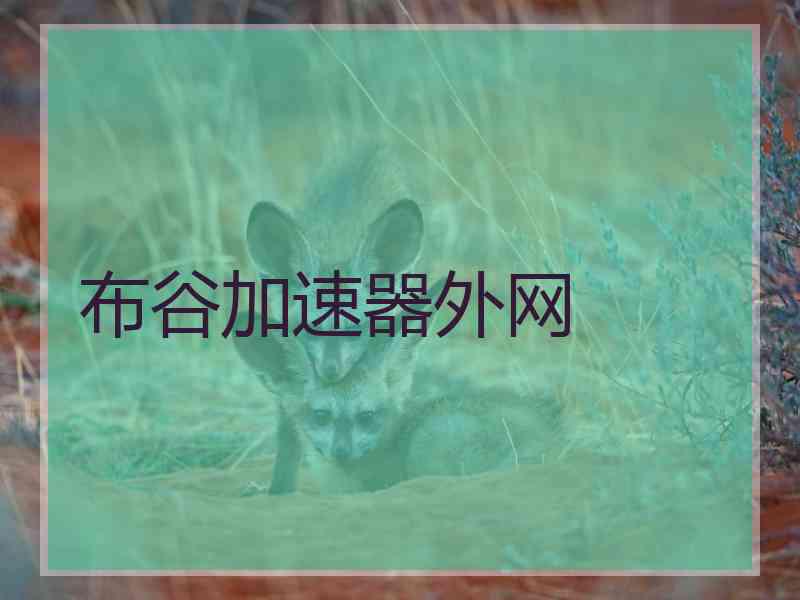 布谷加速器外网