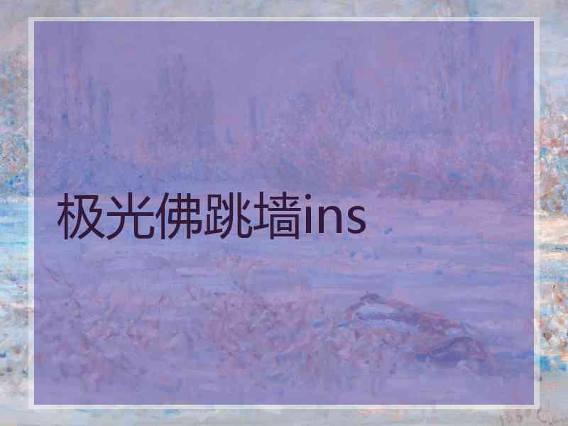 极光佛跳墙ins