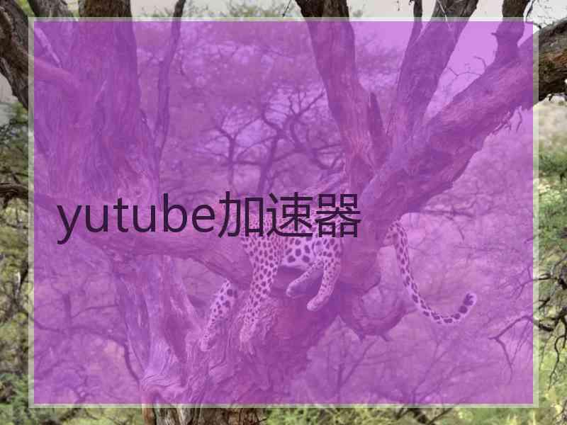 yutube加速器