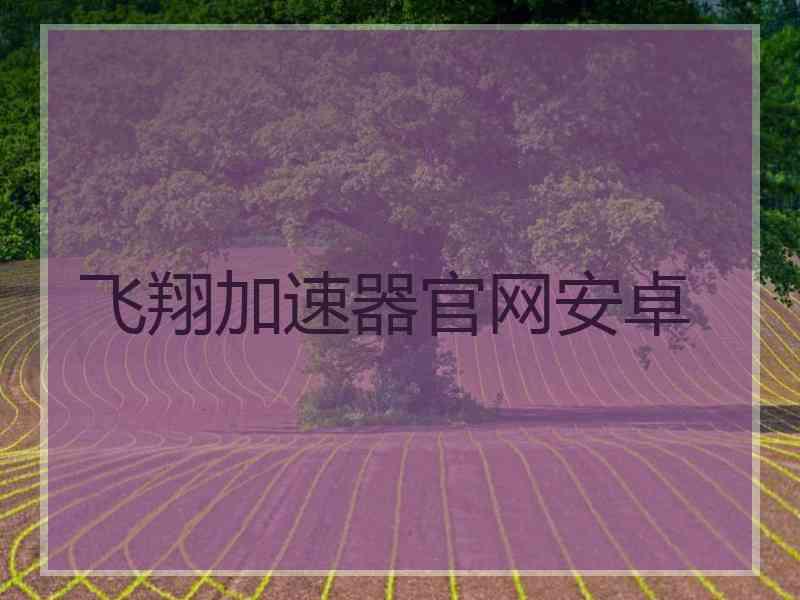 飞翔加速器官网安卓