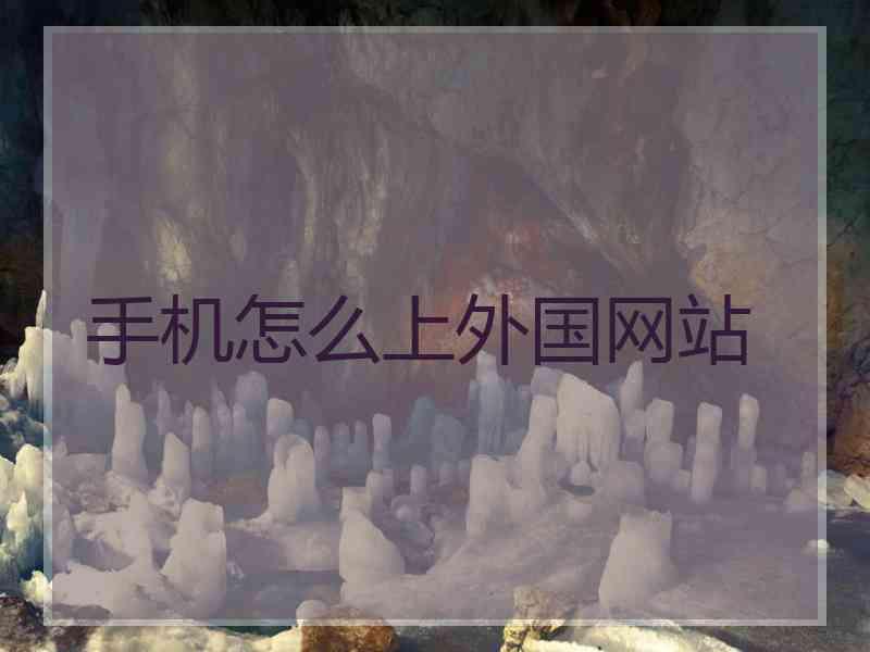 手机怎么上外国网站