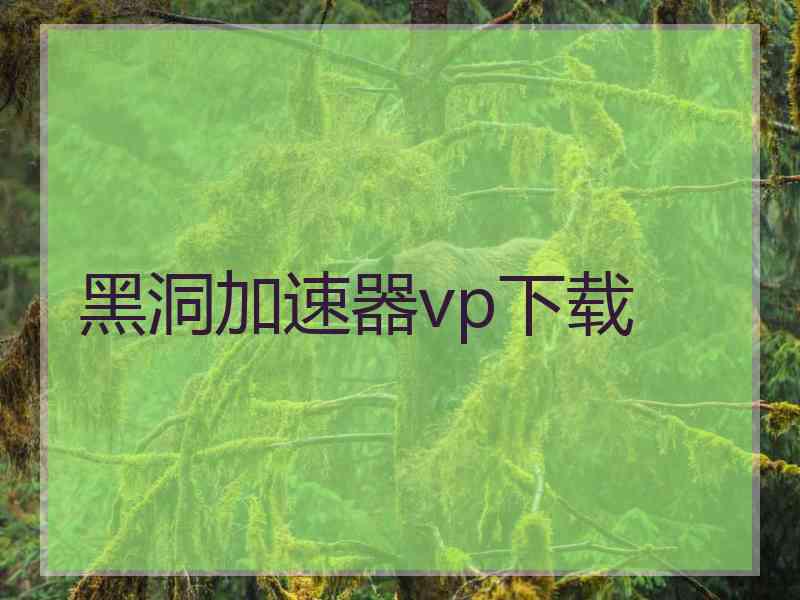 黑洞加速器vp下载