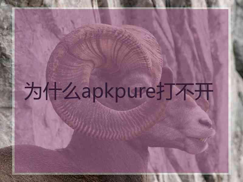 为什么apkpure打不开