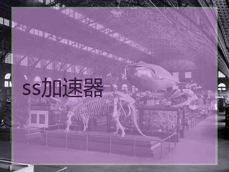 ss加速器