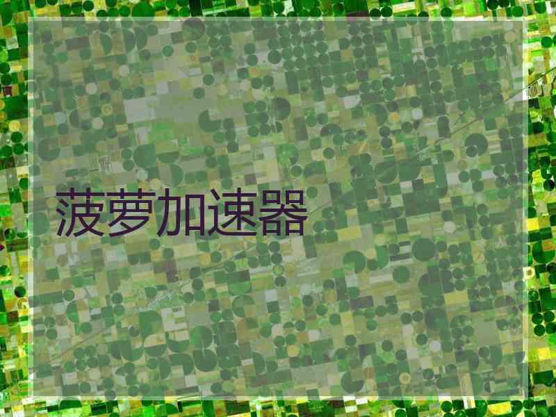 菠萝加速器
