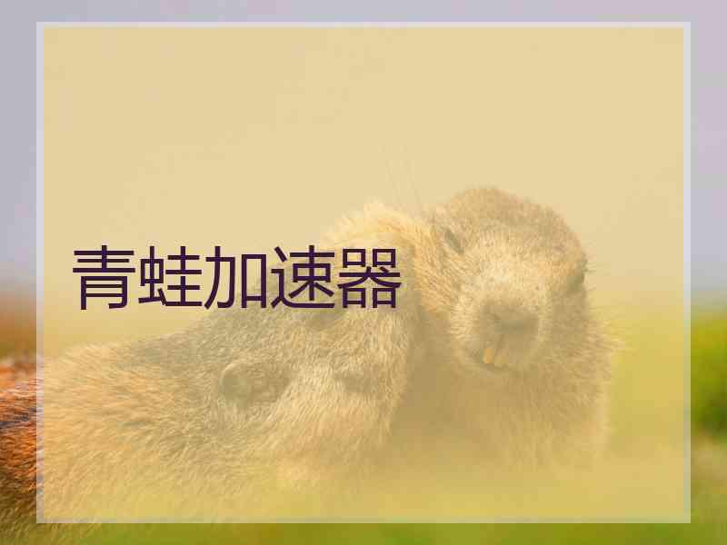 青蛙加速器