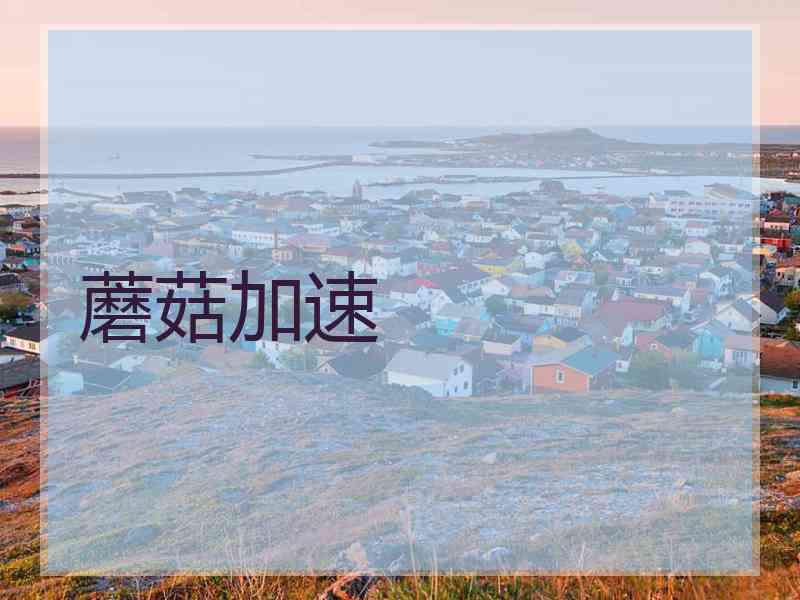 蘑菇加速