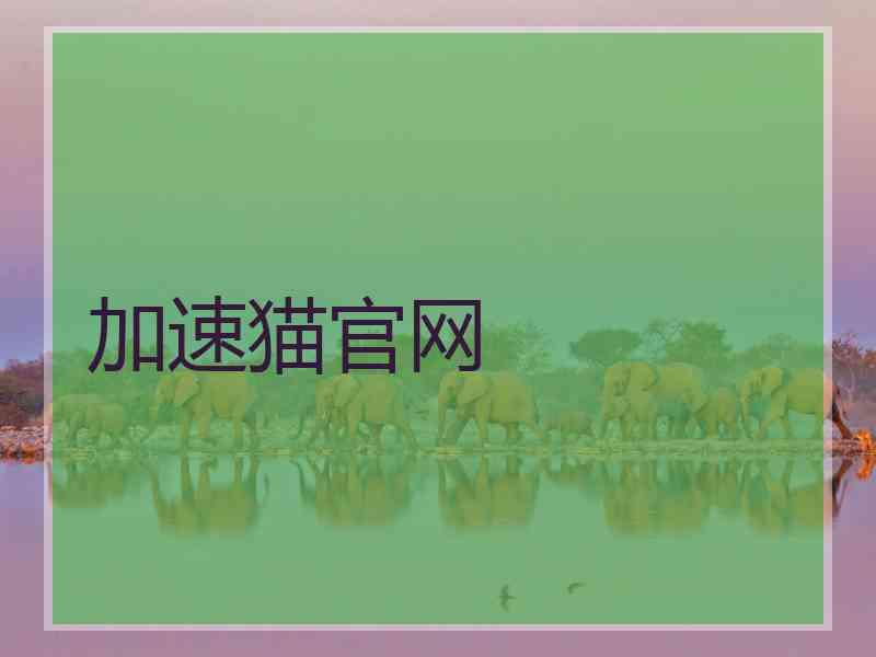 加速猫官网