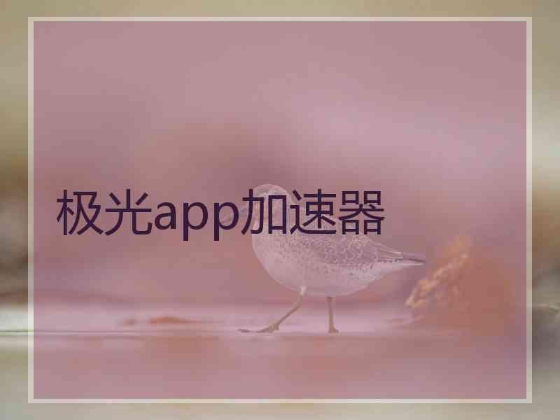 极光app加速器