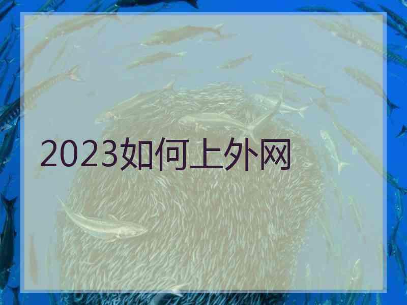 2023如何上外网