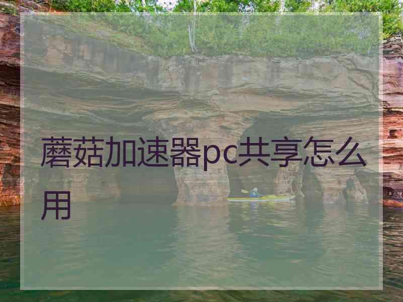 蘑菇加速器pc共享怎么用