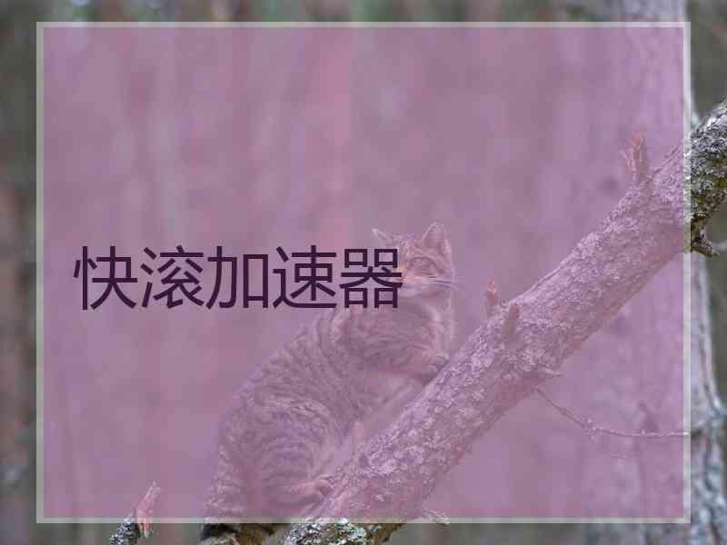 快滚加速器