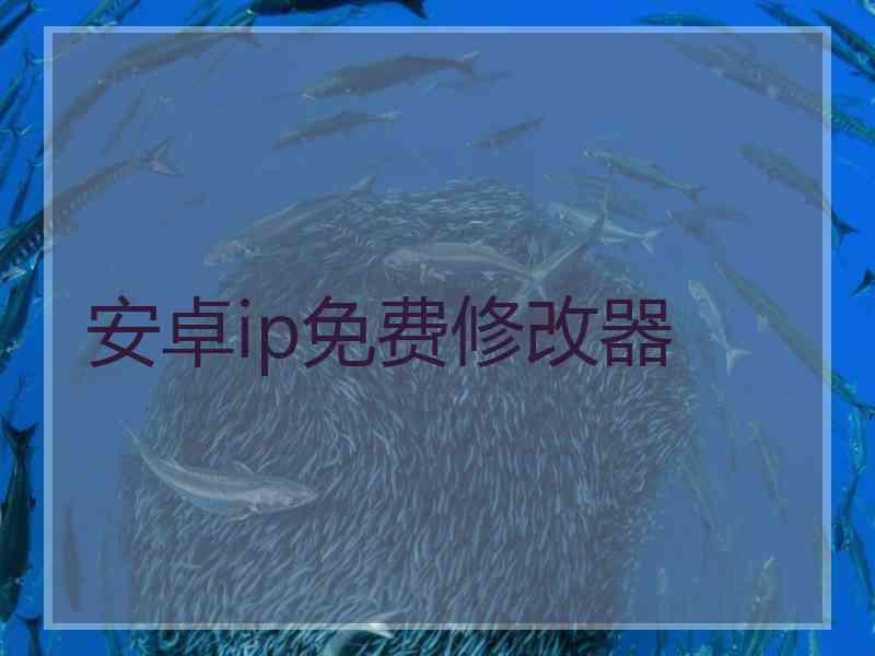 安卓ip免费修改器