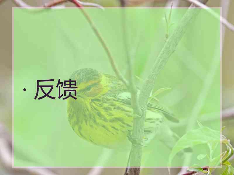 · 反馈