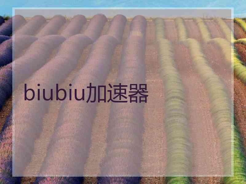biubiu加速器