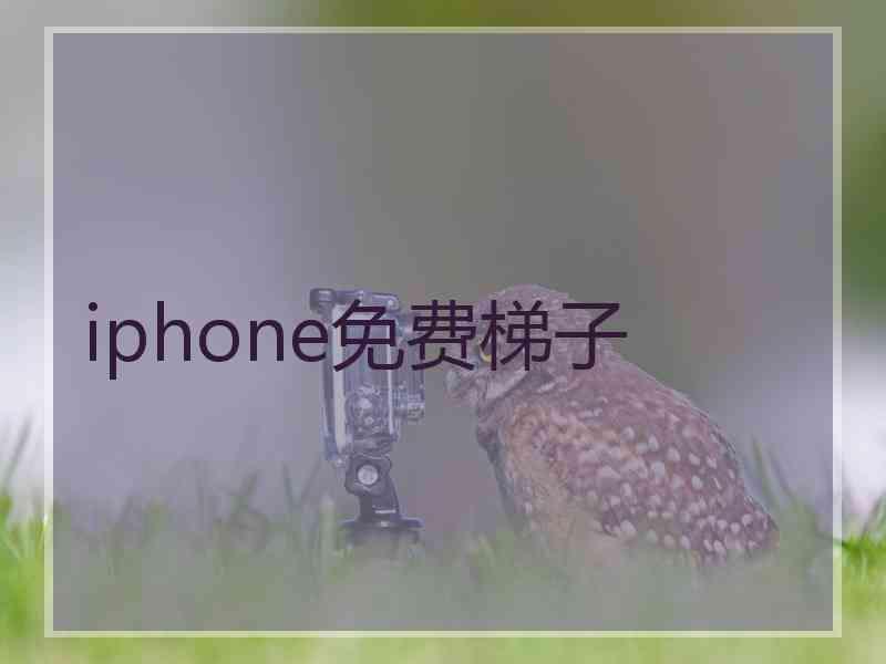 iphone免费梯子