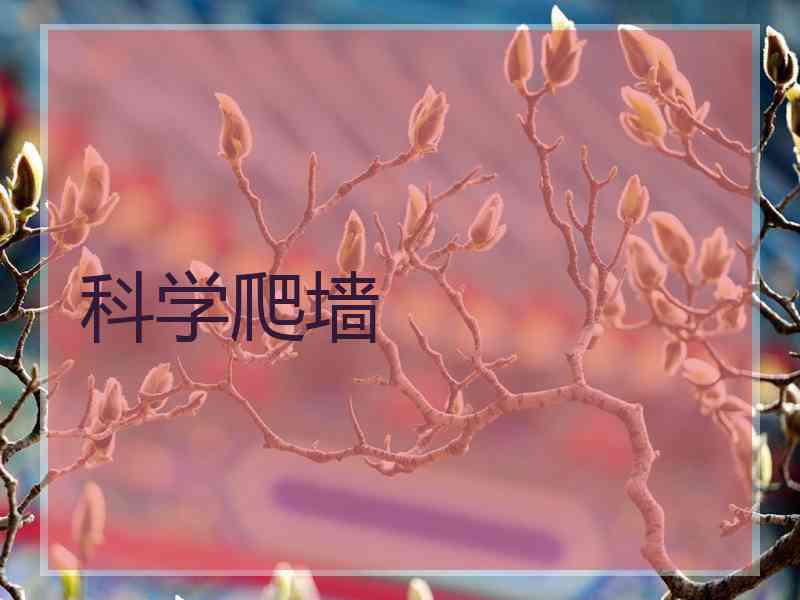 科学爬墙