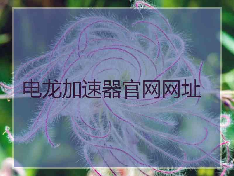 电龙加速器官网网址