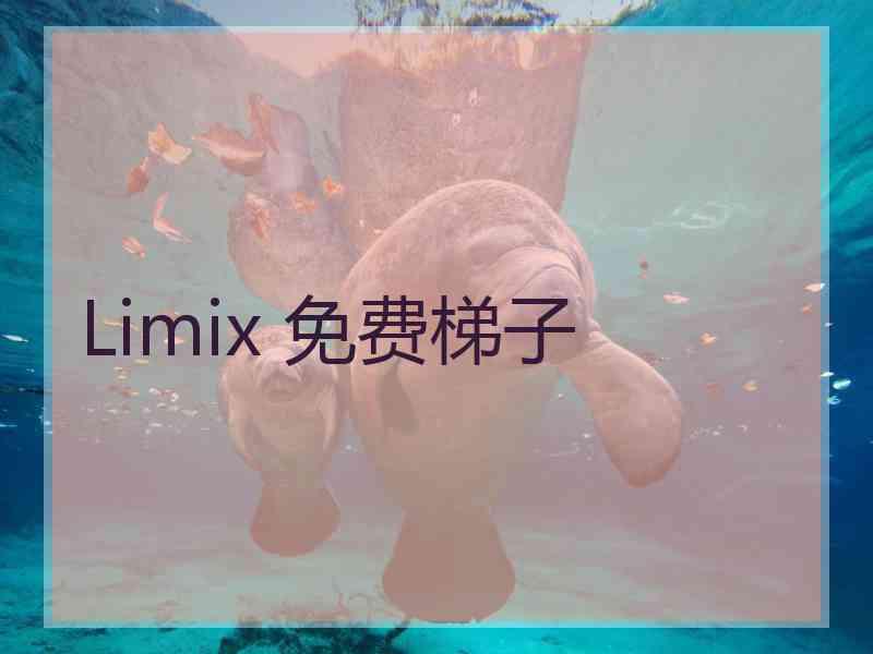 Limix 免费梯子